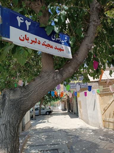 عکس فروشگاه دیاموند