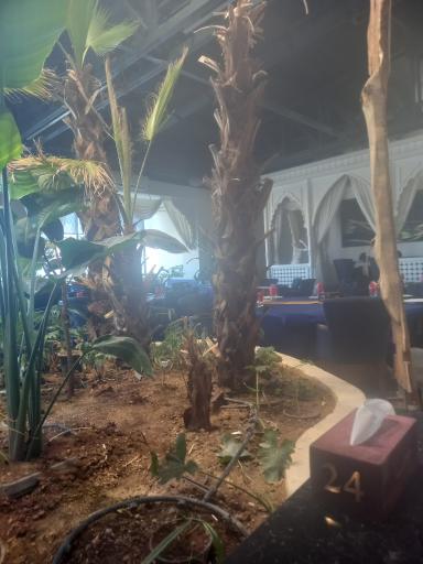 عکس رستوران مرسی پدیده