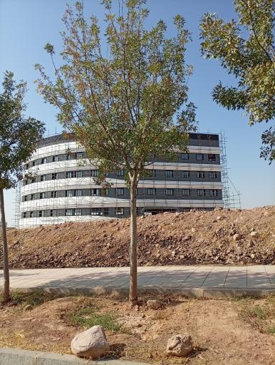 عکس مرکز درمانی و جراحی آسمان
