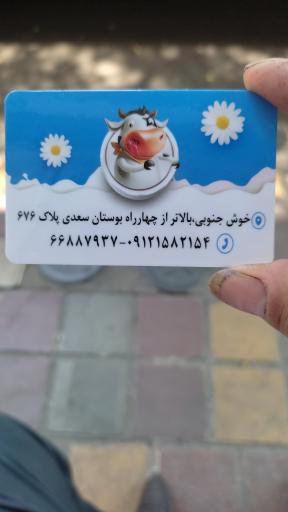 کشک سائی مصطفایی 