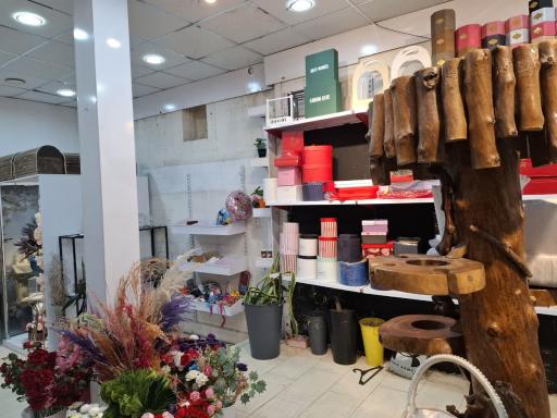 عکس گالری عروس جانان