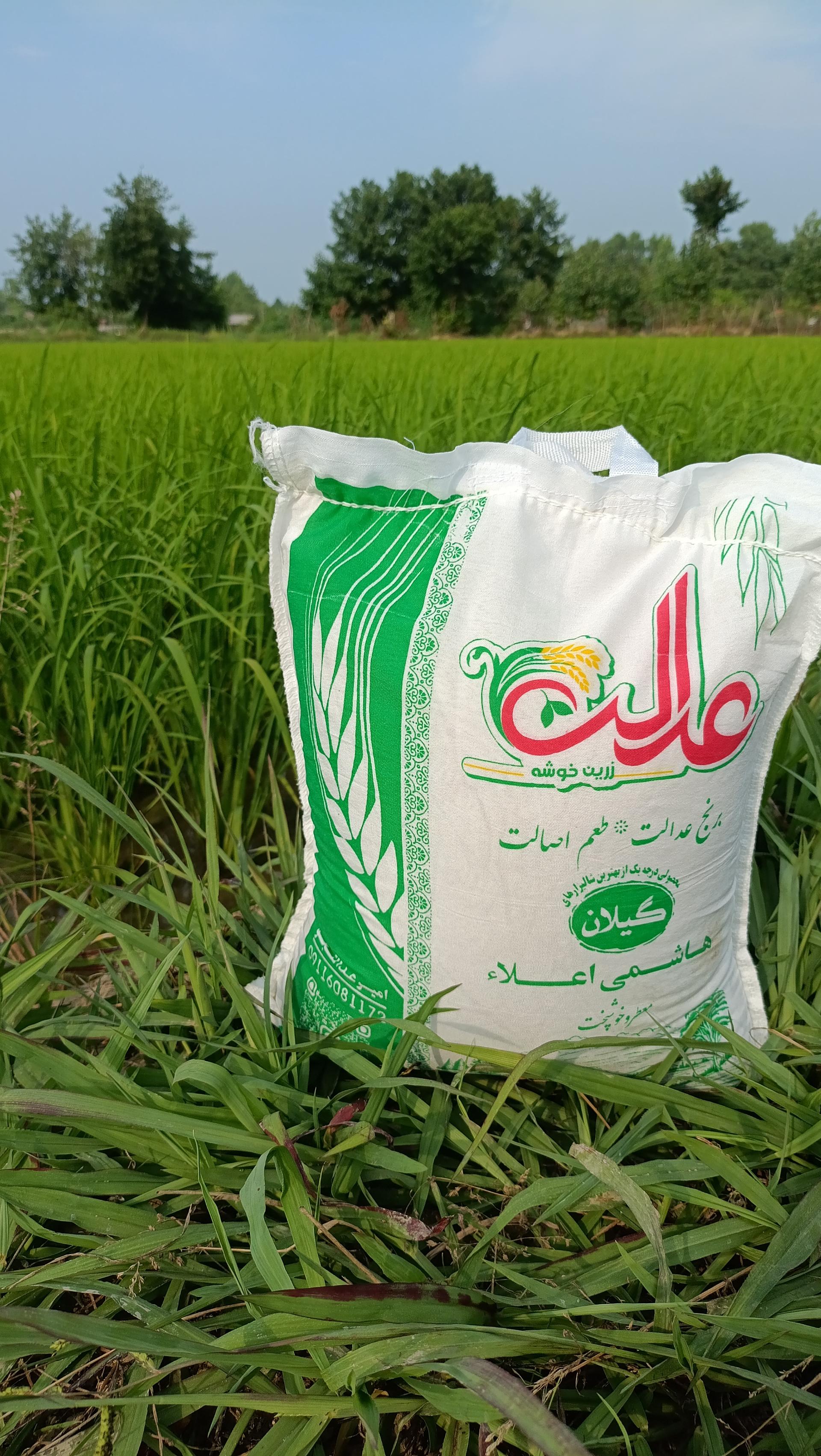 عکس برنج فروشی عدالت