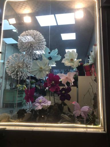 عکس گل‌فروشی ماهورا