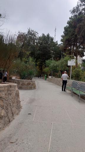 عکس بوستان شفق