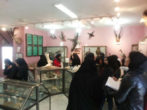 عکس موزه تاریخ طبیعی