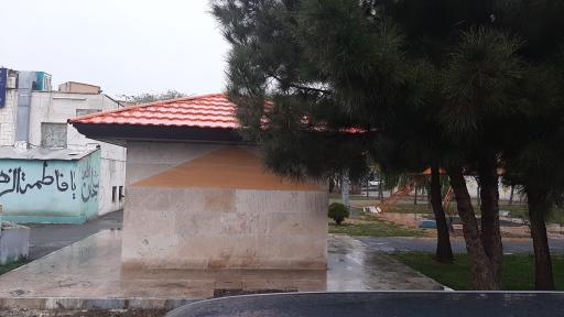 عکس سرویس بهداشتی عمومی 