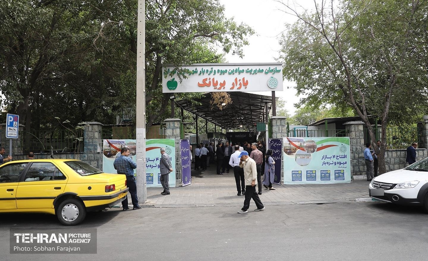 عکس بازار میوه تره‌ بار بریانک