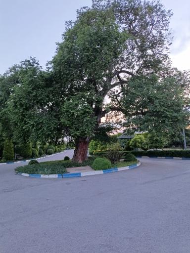 عکس مجتمع فرهنگی رفاهی ادهم