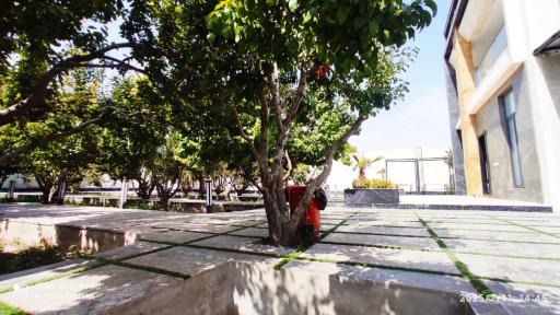 عکس عمارت ماه‌سانیل 