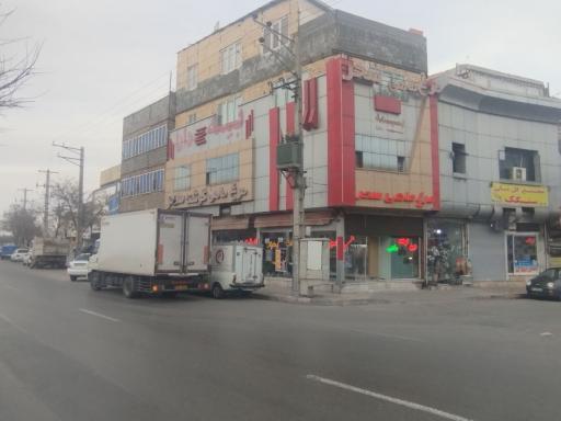 عکس مرغ و ماهی سحر