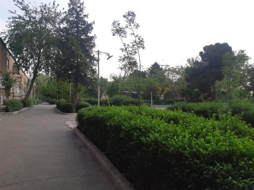 شرکت بازاریابان ایرانیان زمین