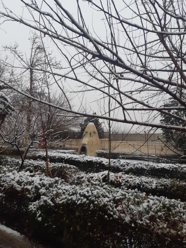 شرکت بازاریابان ایرانیان زمین