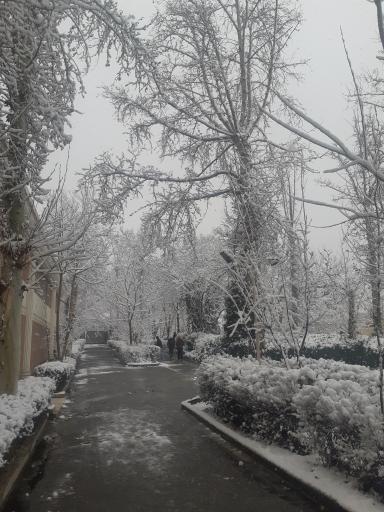 شرکت بازاریابان ایرانیان زمین