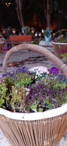 پارک شهر شهرداری گرگان