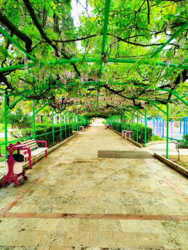 پارک شهر شهرداری گرگان