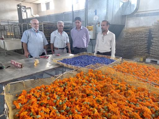 عکس صنایع غذایی اسماری