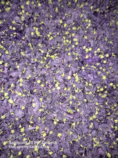 عکس صنایع غذایی اسماری