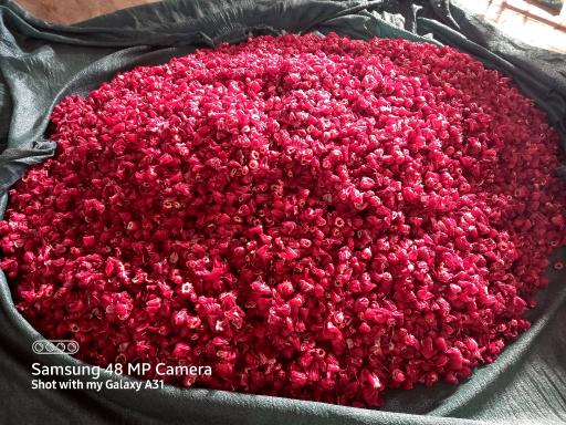 عکس صنایع غذایی اسماری