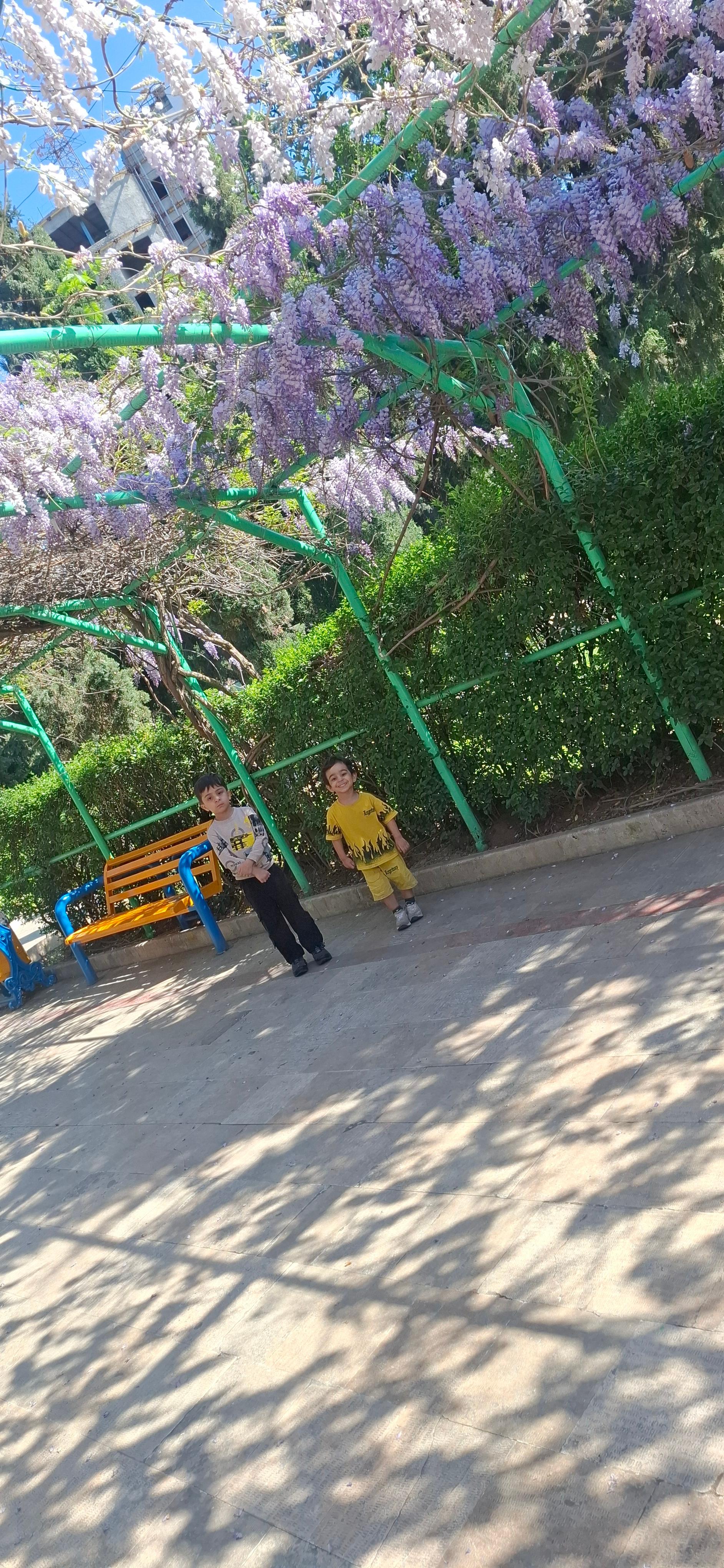 عکس پارک شهر شهرداری گرگان