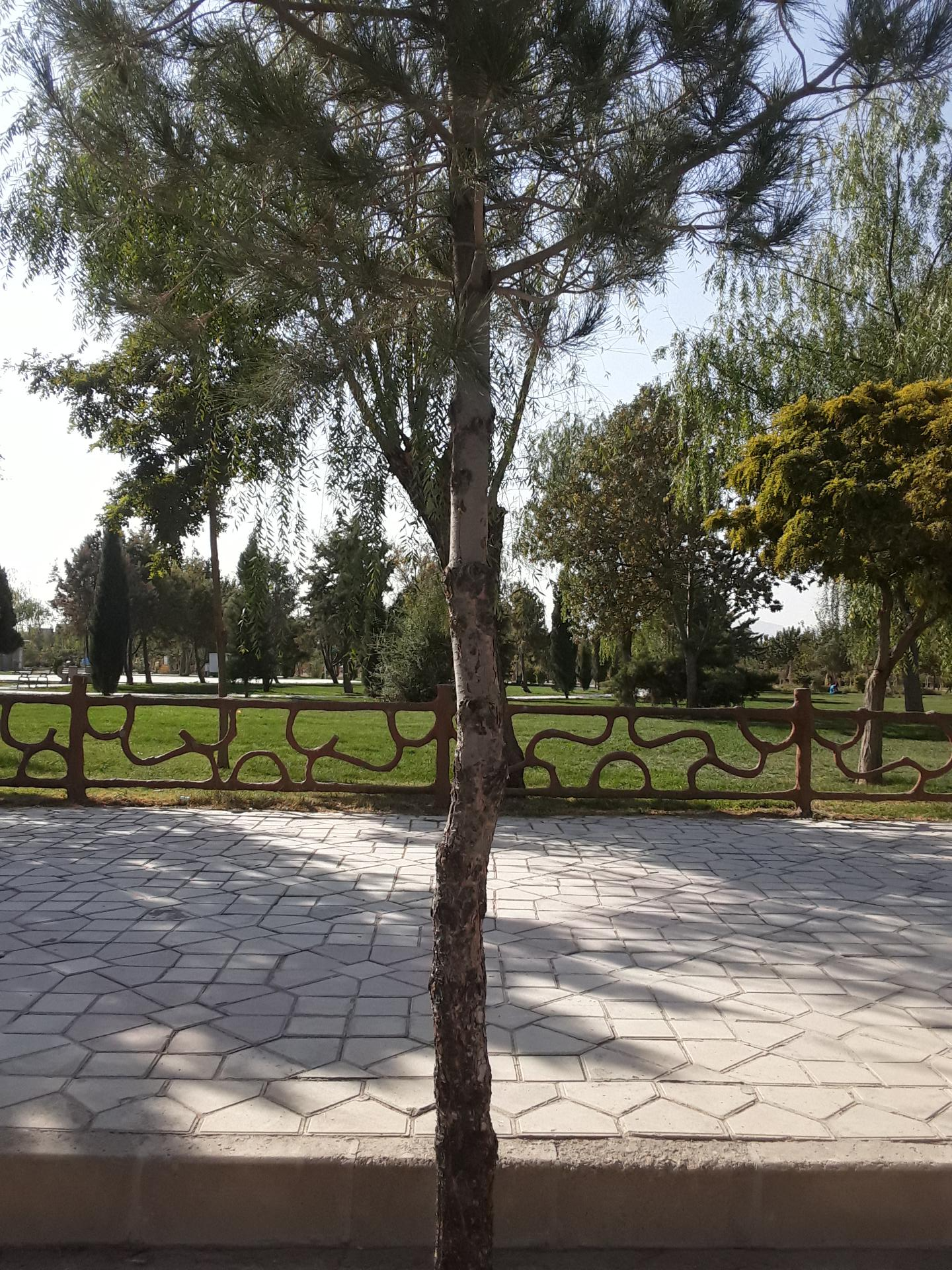 عکس پارک فیروزه