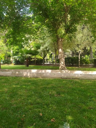 عکس پارک شهر شهرداری گرگان