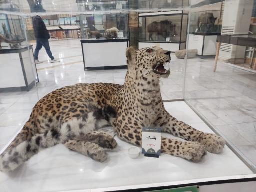 عکس موزه دین و زندگی