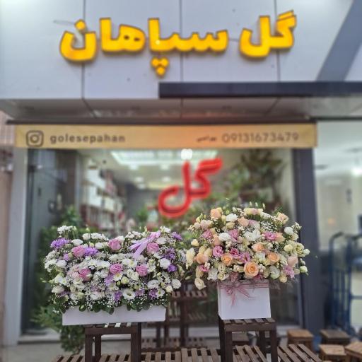 عکس گل سپاهان