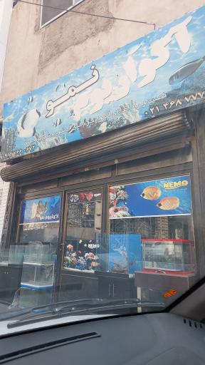 آکواریوم نمو