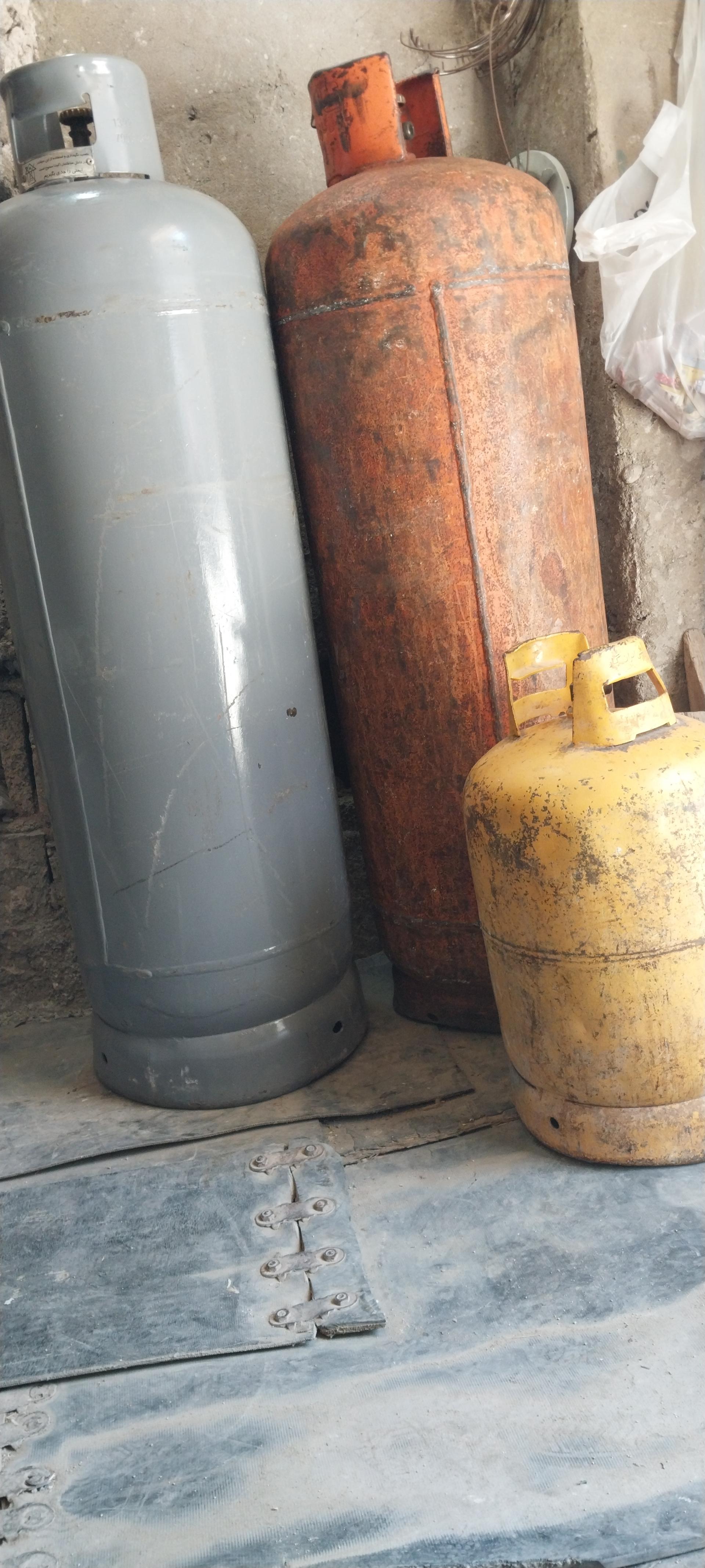 عکس پیک نیک پرکنی