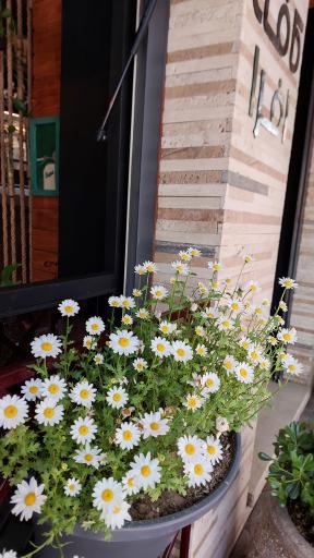 عکس کافه افرا