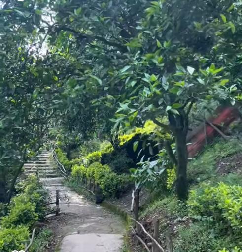 عکس پارک جنگلی گرمدره