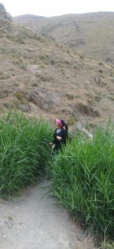 عکس پارک جنگلی گرمدره