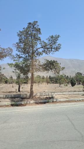 عکس پارک جنگلی گرمدره