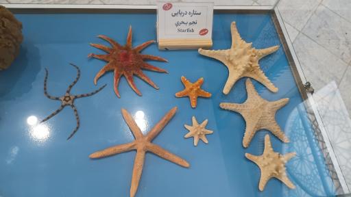 عکس موزه دین و زندگی