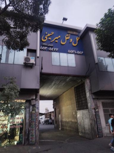 عکس باربری میرحسینی