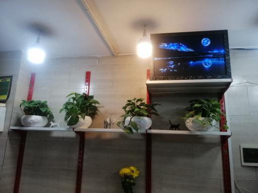 عکس کافه هانیه 