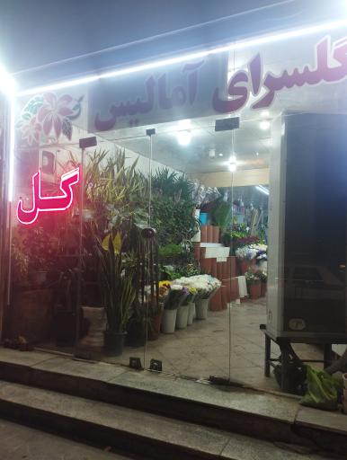 عکس گل سرا ی آمالیس