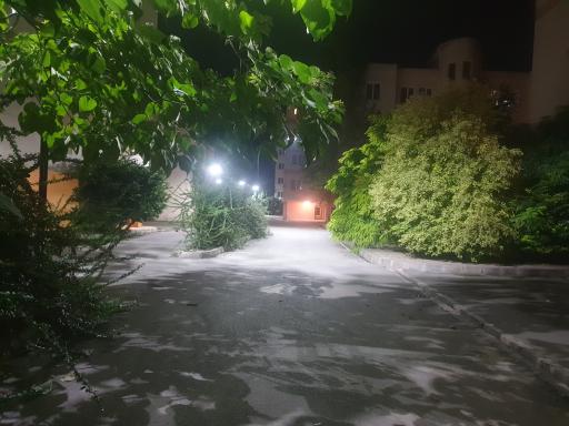 عکس ماهفروجک