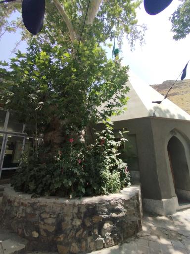 عکس امامزاده حمزه