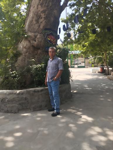 عکس امامزاده حمزه