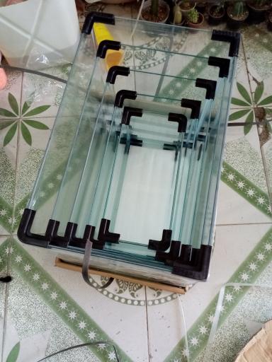 عکس اکواریوم طبیعت 