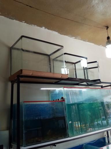 عکس اکواریوم طبیعت 