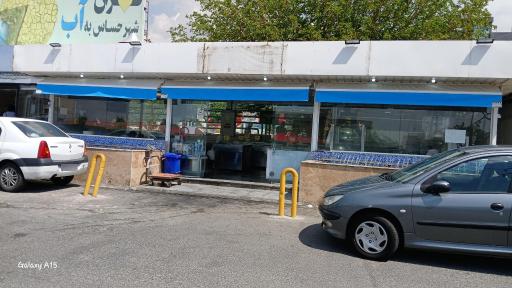 عکس ماهی فروشی سردار جنگل