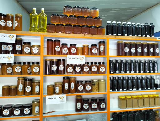 نمایندگی بیمه رازی حسینی 