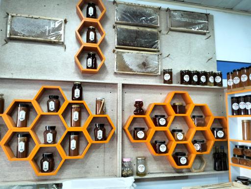 عکس نمایندگی بیمه رازی حسینی 