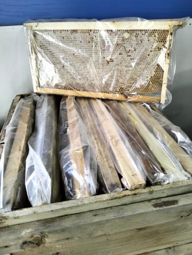 عکس نمایندگی بیمه رازی حسینی 