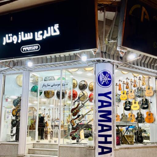 عکس گالری ساز و تار