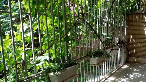 عکس موسسه فرهنگی هنری بوم زنگ رنگ