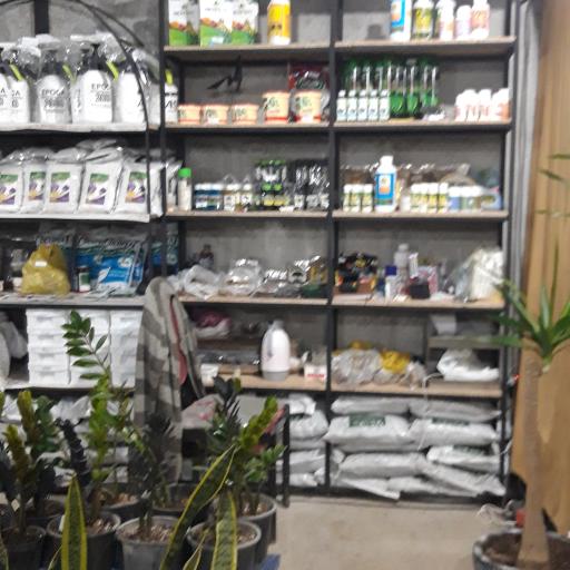 عکس گلستان نوروز