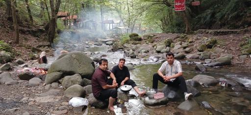 عکس جنگل های دیلمان